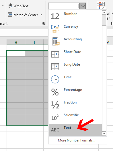 Select Text Format cell in Excel