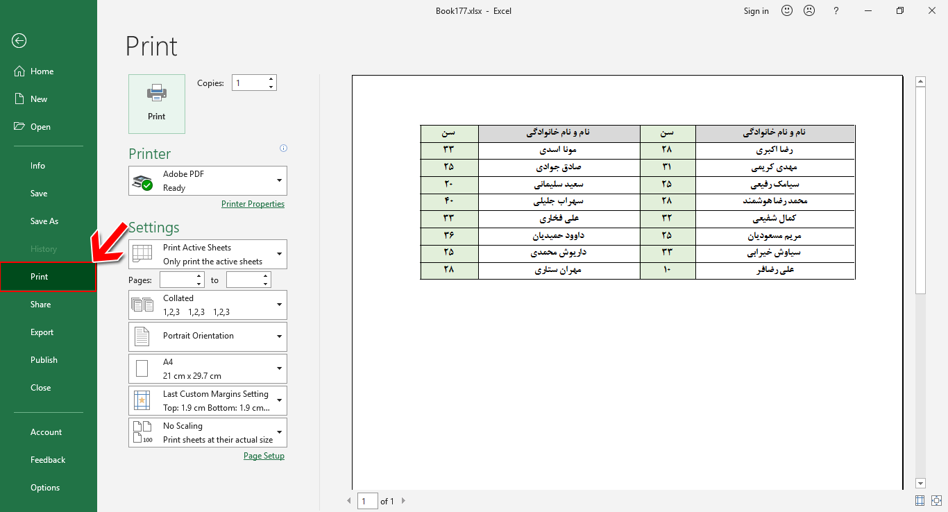 Print Preview in Excel