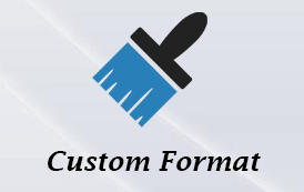Custom Format in Excel by user