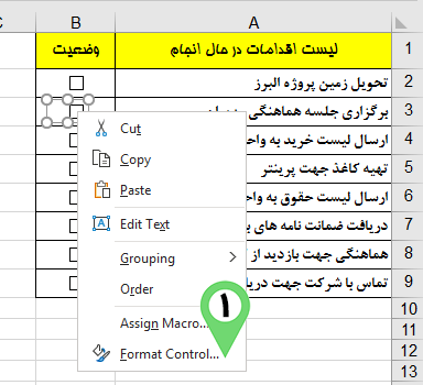 Select Format Control in Access