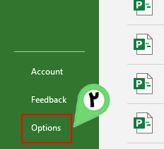 Select Option in Microsoft Project