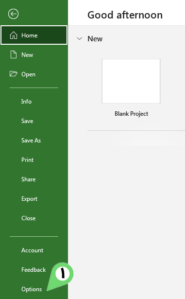 Go To Options in microsoft Project