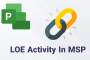 فعالیت های LOE در MSP