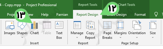 Report Design in Microsoft Project