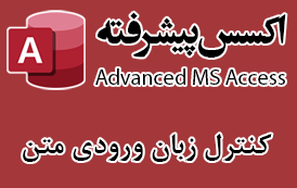 Text input language in Microsoft access