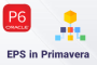 تعریف EPS در پریماورا