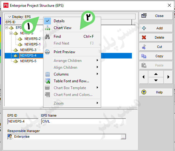 change display eps in primavera to chart view