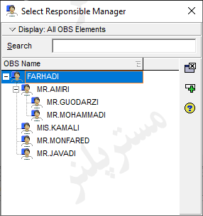 Select Responsible manager in p6