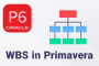 تعریف WBS در پریماورا