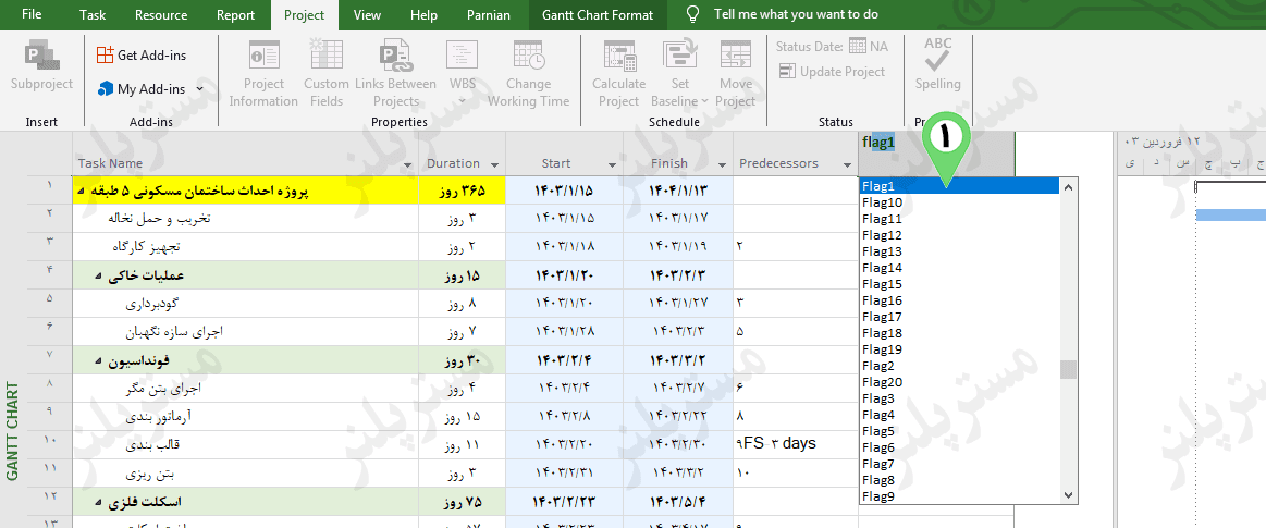 Insert New column of flag type in microsoft project